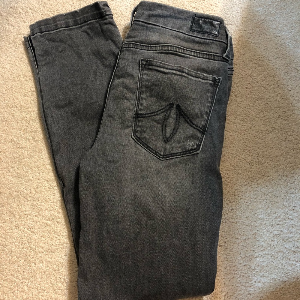 Lily Crop Skinny Straight Distressed Jeans